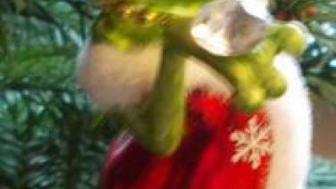 L-Julklapp Naturerlebniscafé Mehlbeere Großenbrode